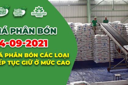 Vietnam fertilizer prices September 4, 2021