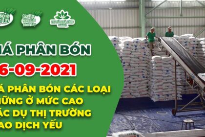 Vietnam fertilizer prices September 7, 2021