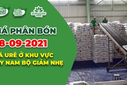 Vietnam fertilizer prices September 8, 2021