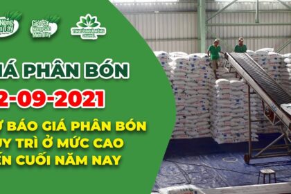 Vietnam fertilizer prices September 12, 2021
