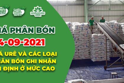 Vietnam fertilizer prices September 14, 2021