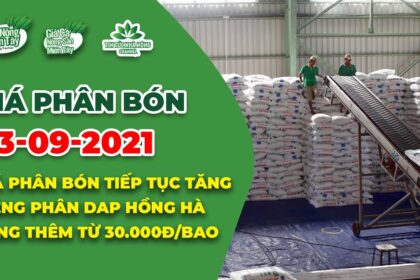 Vietnam fertilizer prices September 23, 2021