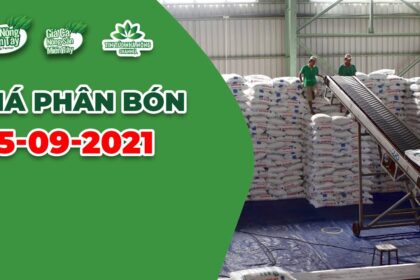 Vietnam fertilizer prices September 25, 2021