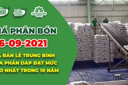 Vietnam fertilizer prices September 27, 2021