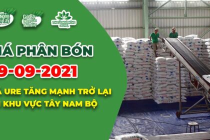 Vietnam fertilizer prices September 29, 2021