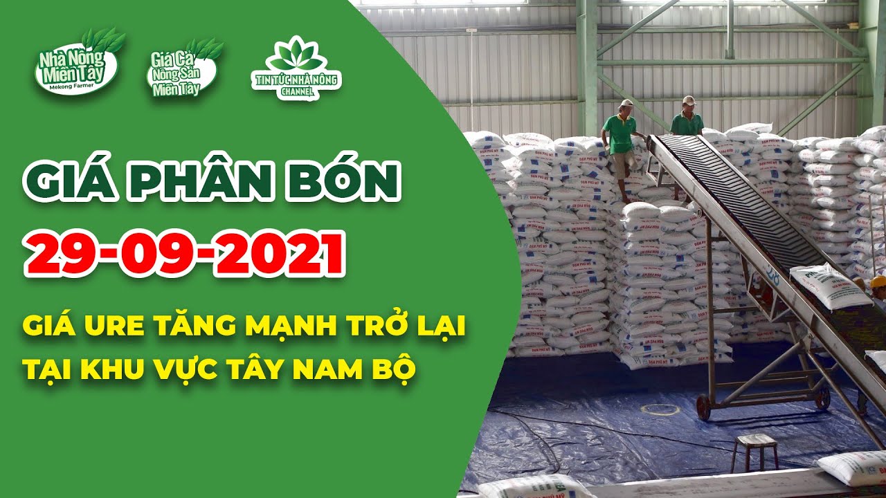 Vietnam fertilizer prices September 29, 2021