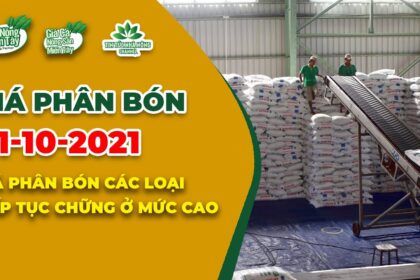Vietnam fertilizer prices October 1, 2021