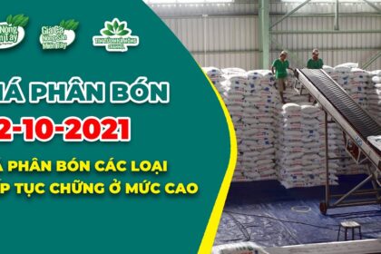 Vietnam fertilizer prices October 2, 2021