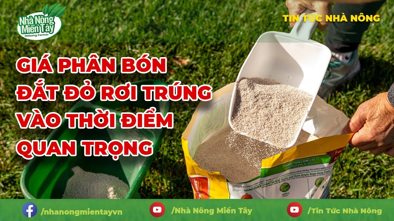 Vietnam fertilizer prices Market Update