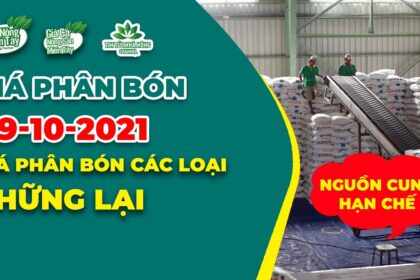 Vietnam fertilizer prices October 9, 2021