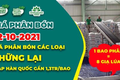 Vietnam fertilizer prices October 12, 2021