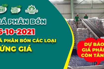 Vietnam fertilizer prices October 16, 2021