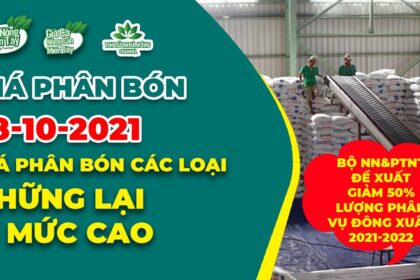 Vietnam fertilizer prices October 18, 2021