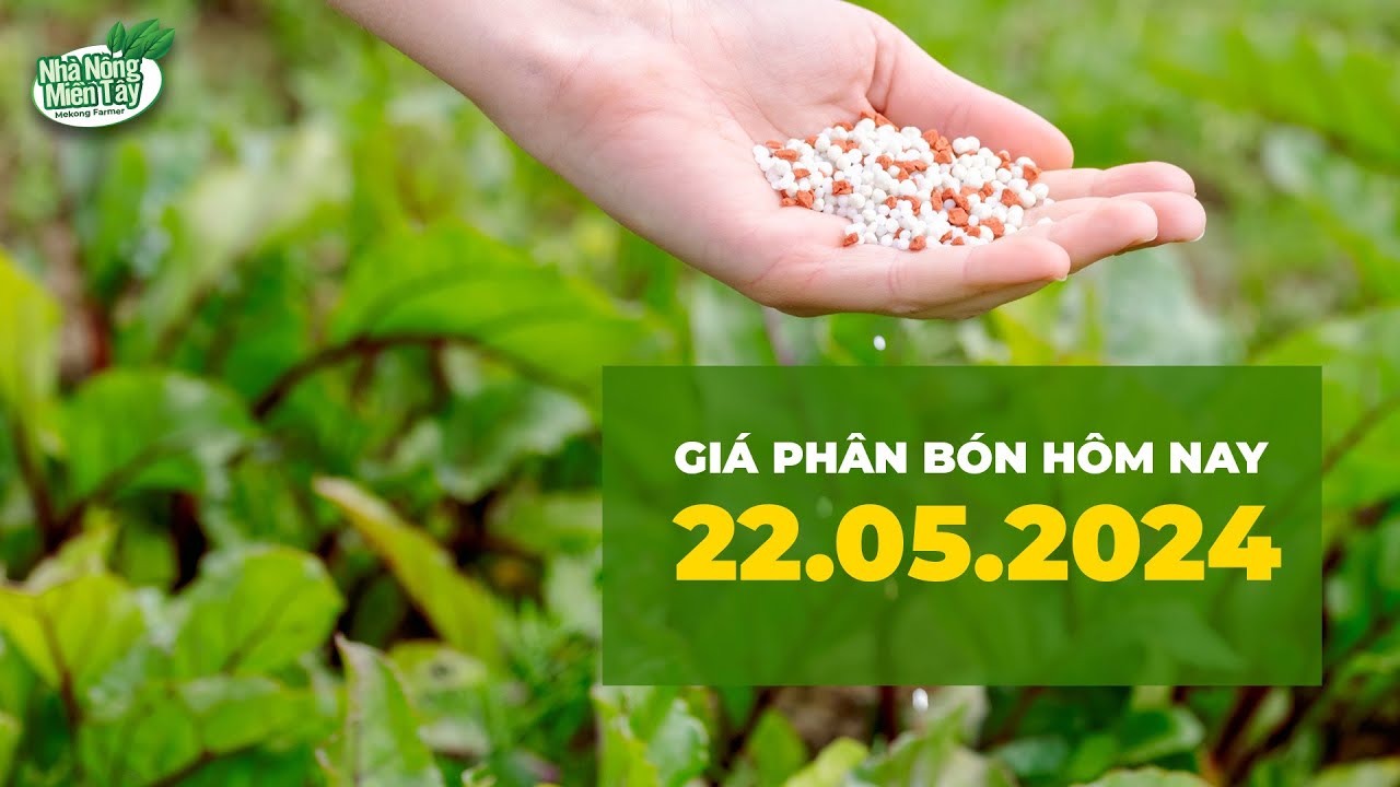 Vietnam fertilizer prices May 22, 2024