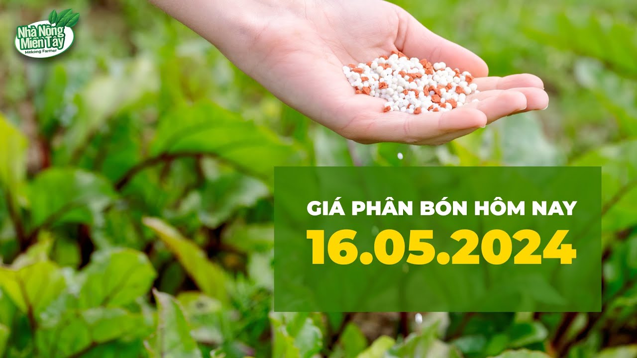 Vietnam fertilizer prices May 16, 2024