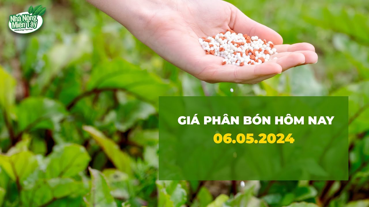 Vietnam fertilizer prices May 6, 2024