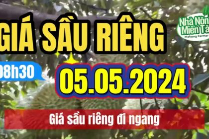Vietnam fertilizer prices May 5, 2024