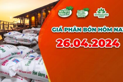 Vietnam fertilizer prices April 26, 2024