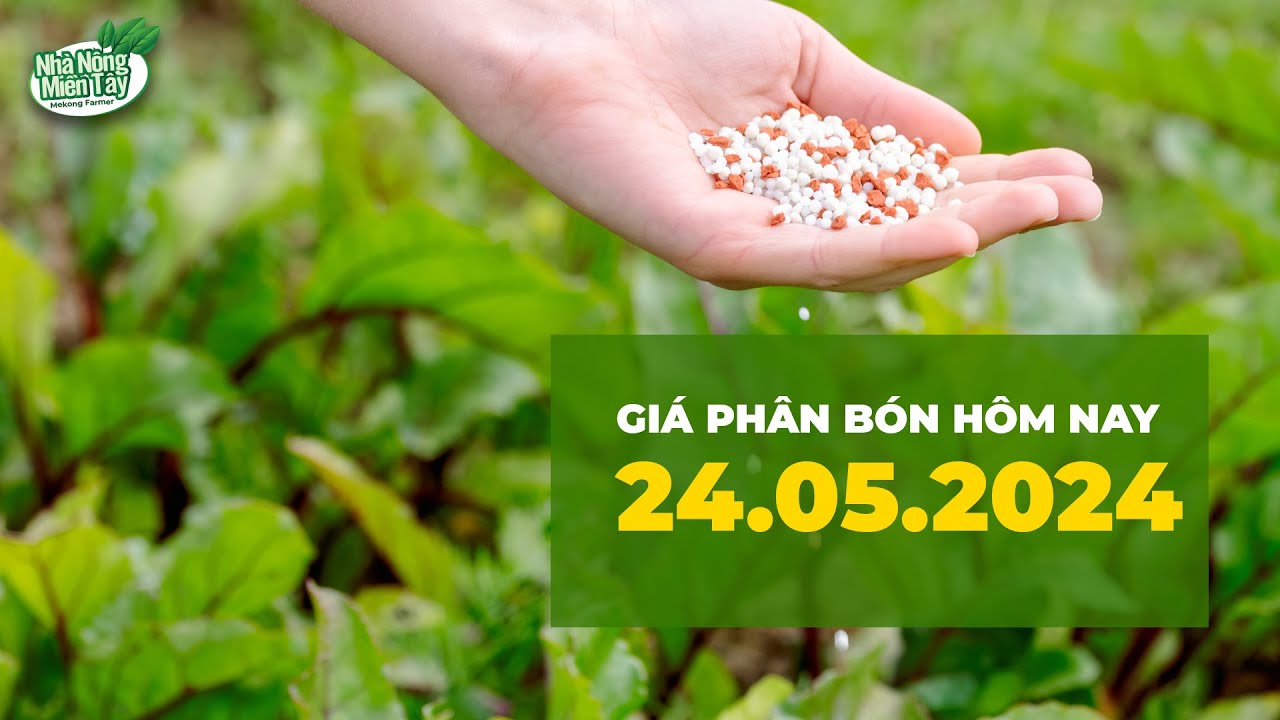 Vietnam fertilizer prices May 24, 2024