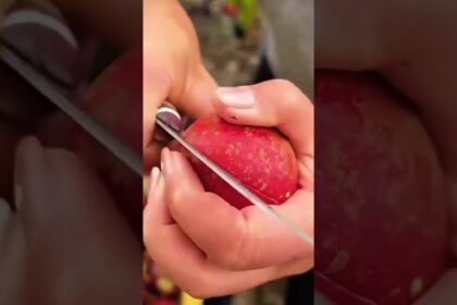 unusual mangosteen