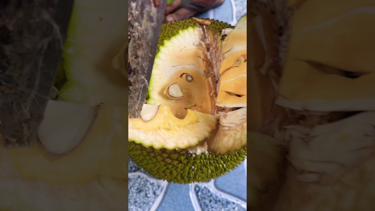 Vietnam Thai jackfruit prices Market Update